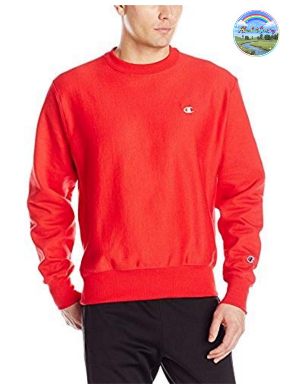Men's Reverse Weave Crew Sweatshirt Heavyweight Cotton Fleece Loose Fit